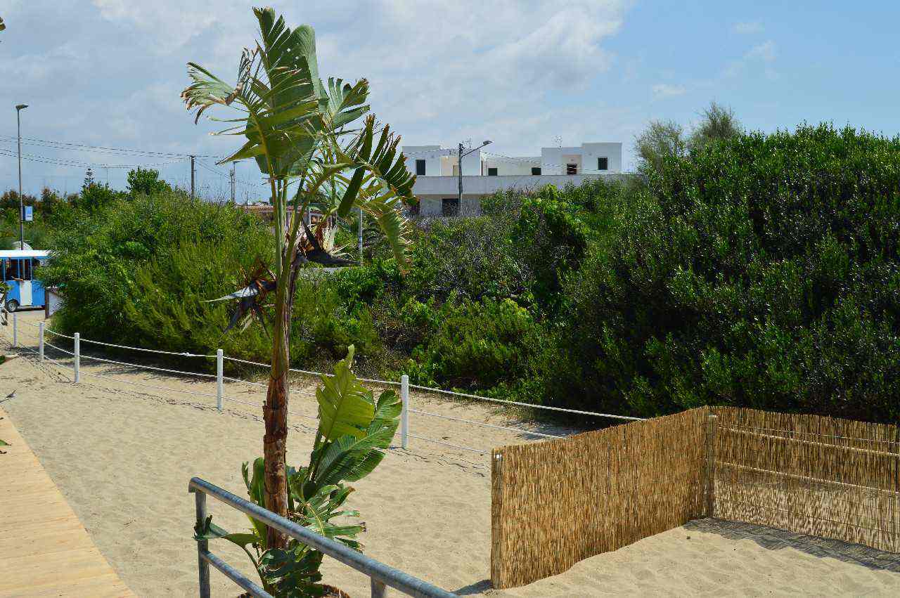 La finestra sul mare - Foto dalla strada- Marina di Ugento